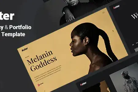 Aster – Creative Portfolio Agency Template