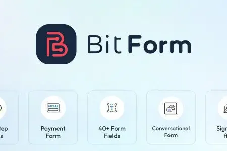 Bit Form Pro