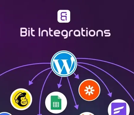 Bit Integrations Pro