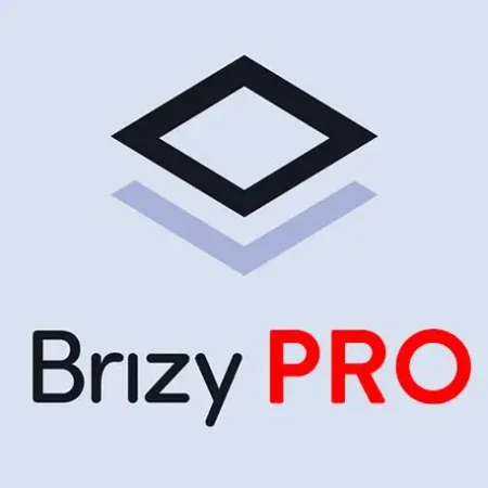 Brizy Pro