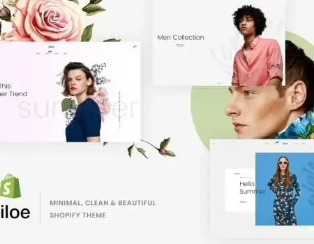 Ciloe – Minimal, Clean & Beautiful Shopify Theme