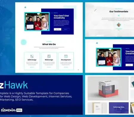 BizHawk – Corporate Agency Elementor Template Kit
