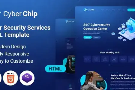 CyberChip Web Security | HTML