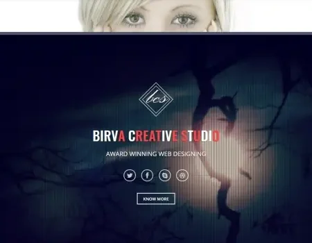 Birva – Bootstrap Parallax One Page Template