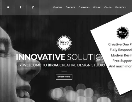 Birva Design : Creative One Page Theme