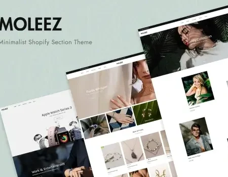 Moleez – Minimalist Shopify Theme