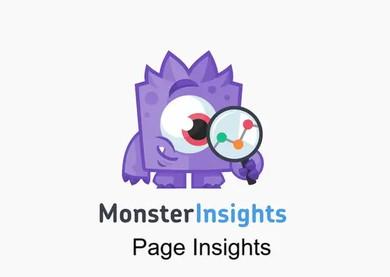 MonsterInsights – Page- Insights MonsterInsights – Page Insights