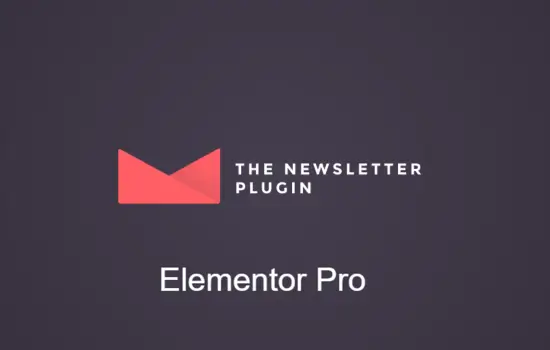 Newsletter – Elementor -Pro Newsletter – Elementor Pro