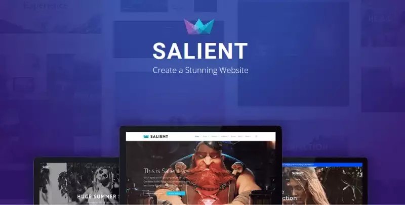Salient- Theme -Creative -Multipurpose -& WooCommerce -Theme Salient Theme Creative Multipurpose WooCommerce Theme