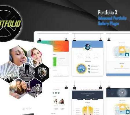 Portfolio Gallery