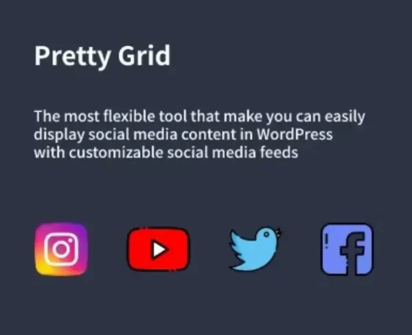 Pretty Grid – WordPress Social Feed Gallery Plugin - Kho Plugin- Theme ...
