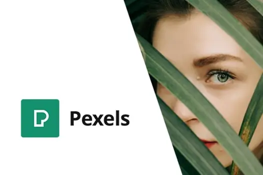 pexels-import-free-stock-images-into-wordpress (1) pexels import free stock images into wordpress 1