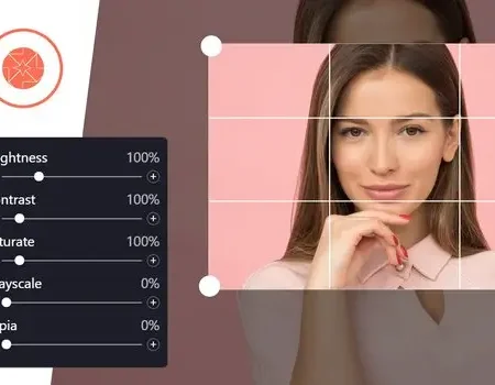ProVision Image Editor for WordPress / WooCommerce