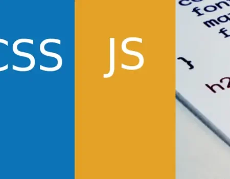 Simple Custom CSS and JS PRO