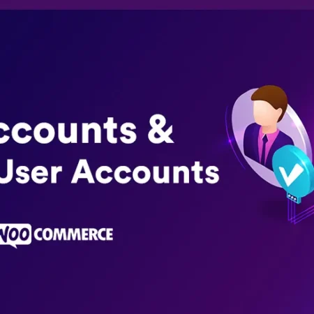Subaccounts & Multi-User Accounts