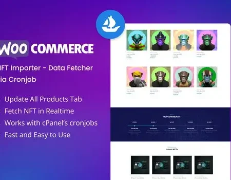 WooCommerce NFT Importer – Data Fetcher