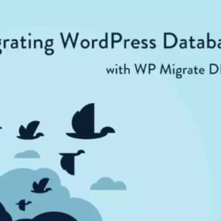 WP Migrate Pro