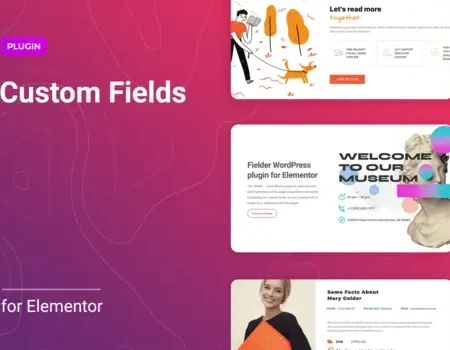WordPress Custom Fields for Elementor