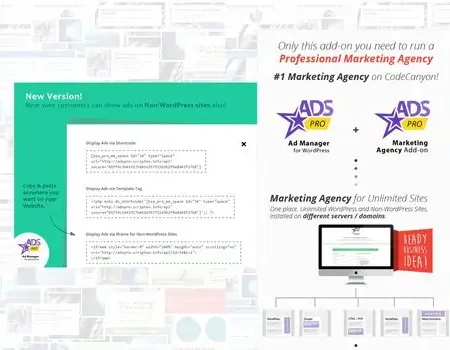 WordPress Marketing Agency – Ads Pro MA
