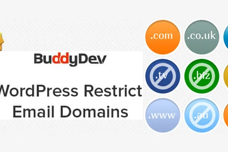 WordPress Restrict Email Domains