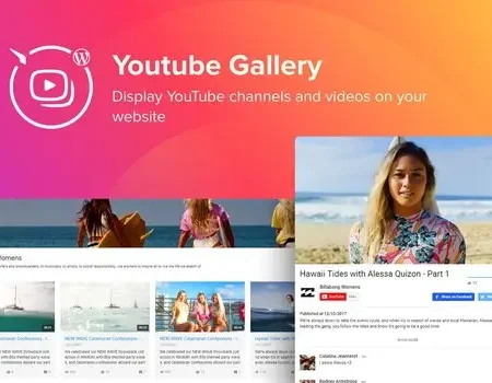WordPress YouTube Gallery Plugin