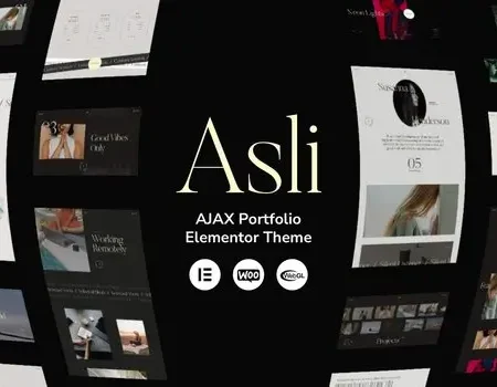 Asli – AJAX Portfolio Elementor WordPress Theme