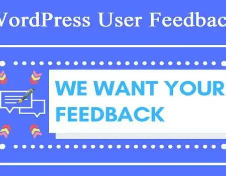 WordPress User Feedback