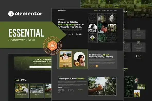 Essential-–-Photography-NFT-Portfolio-Elementor-Template-Kit Essential – Photography NFT Portfolio Elementor Template Kit
