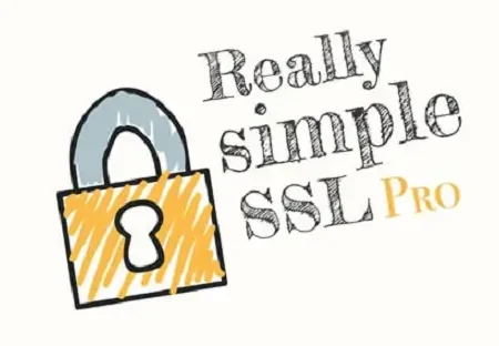 Really Simple Security